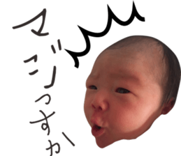 18220933