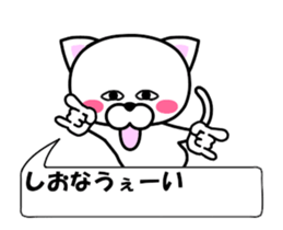 182274281