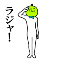 18228075