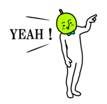 18228076