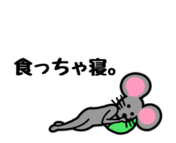18232539