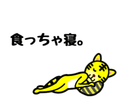 18232763