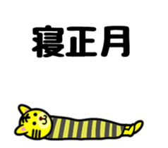 18232764