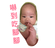 182329686