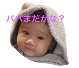 18241135