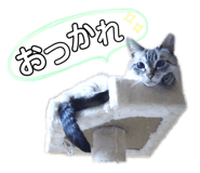 182538180