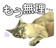 182538182