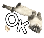 182538183