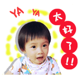 18254021