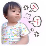 18254040