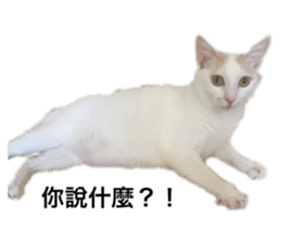 182554281
