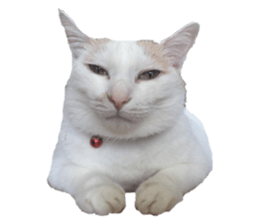 182554299