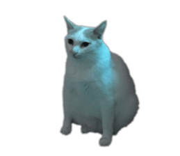 182554301