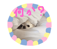 182601398