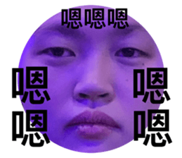 182605158