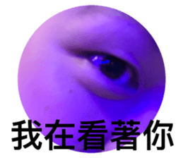 182605163