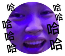 182605164