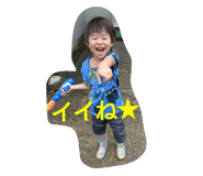 18262219