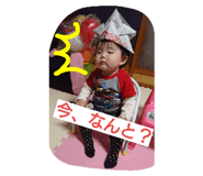 18262236