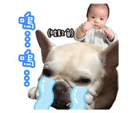 182638245