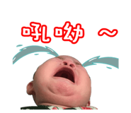 182638246