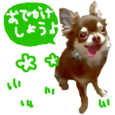 182654558