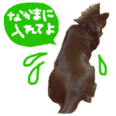 182654559