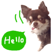 182654560