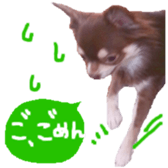 182654561