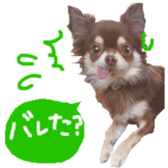 182654562
