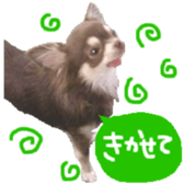 182654563