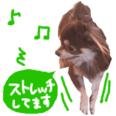 182654564