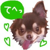 182654565