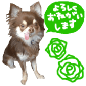 182654566