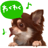 182654567