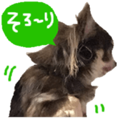 182654569