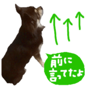 182654570