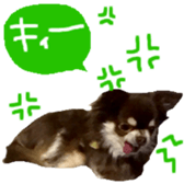 182654573