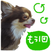 182654581