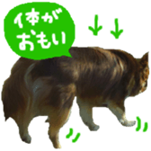 182654582