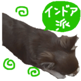 182654584