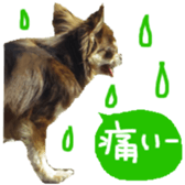 182654586
