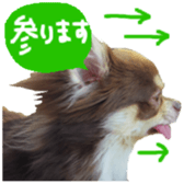 182654587