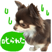 182654588
