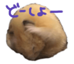 182678002