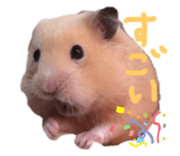 182678005