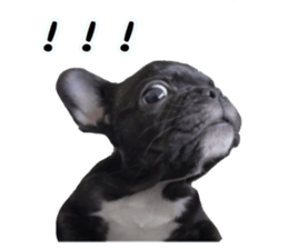 18268615