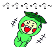 18270621