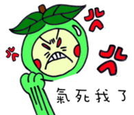 18270624