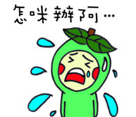 18270625